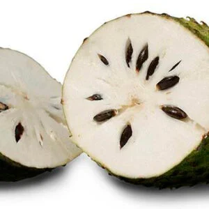 GUANABANA